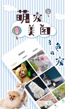 人猫翻译交流器 1.9.5 最新版 4