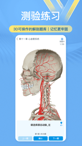 维萨里3D解剖教学 6.6.3  3