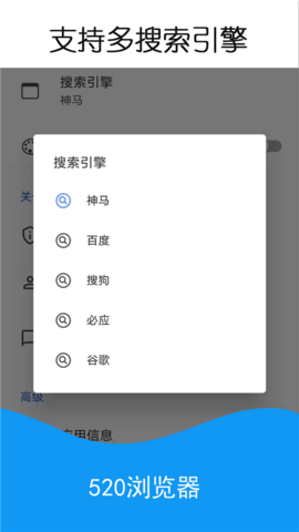 520浏览器 1.3.1 最新版 2