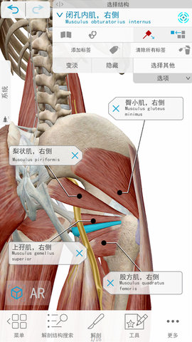 3D人体解剖 2.3  1