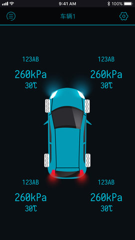 SafeTPMS 1.0.21  3