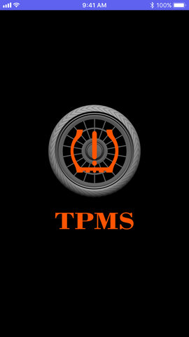 SafeTPMS 1.0.21  4