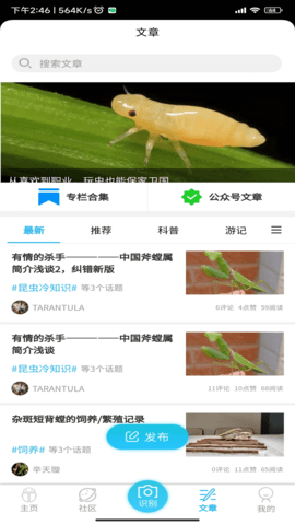 昆虫百科 1.0.5  4