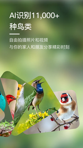 BirdLover 2.0.0  4