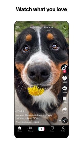 TikTok中文版app 36.4.4  1