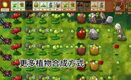 植物大战僵尸融合植物版 1.2 最新版 1