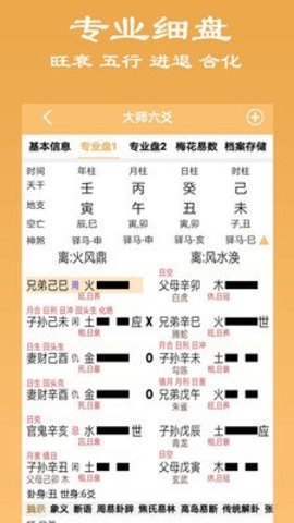 大师六爻 13 最新版 1