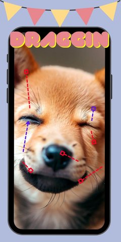 DragGAN AI v1.0 安卓版 3