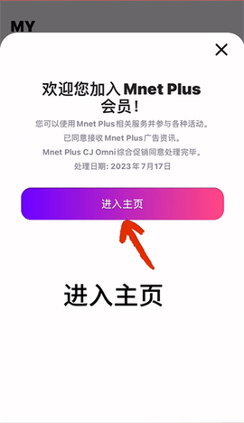 MnetPlus投票教程