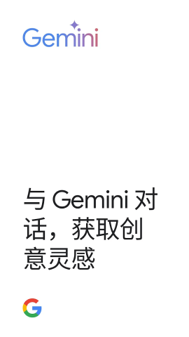 Gemini 1.0.668480831 最新版 3